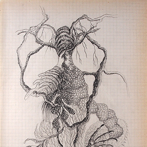<h2>Devenir-espèce(s) - 4 </h2><br>2020<br>h : 35  cm  x 21<br>crayon sur papier quadrillé