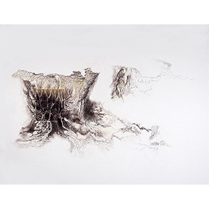 <h2>Paysage-interieur-2</h2><br>2022<br>h : 70 cm  x 100<br>pastel, impression numérique et collage sur papier 