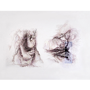<h2>Paysage-intérieur-5</h2><br>2022<br>h : 70 x 100<br>pastel, impression numérique et collage sur papier