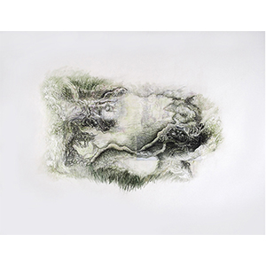 <h2>Paysage-intérieur-6</h2><br>2022<br>h : 70 x 100<br>pastel, impression numérique et collage sur papier